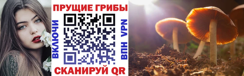 Псилоцибиновые грибы MAGIC MUSHROOMS  Инта 